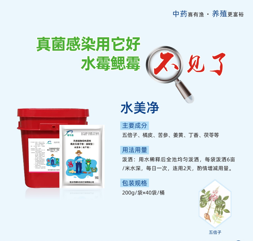 魚(yú)類(lèi)水霉病不用怕，治療有訣竅絕招！