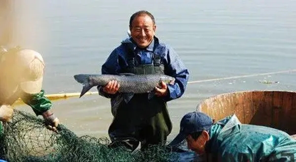 冬季魚塘養殖怎么做越冬管理？做好這4點，讓你順利越冬