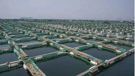 水產養殖越冬期科學管理意義重大!